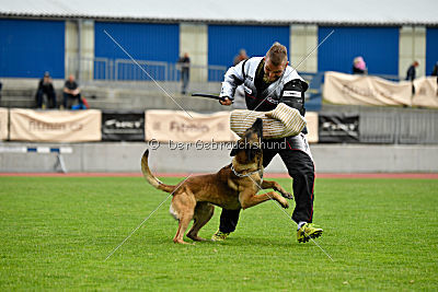 As'Thor Force Canina