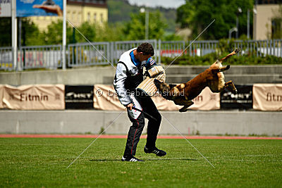 As'Thor Force Canina