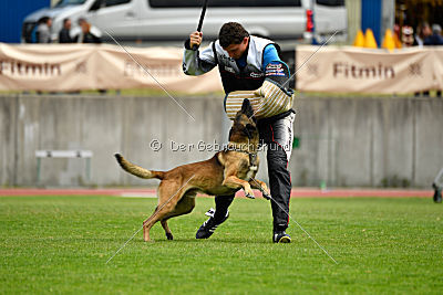 As'Thor Force Canina