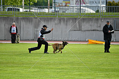 As'Thor Force Canina