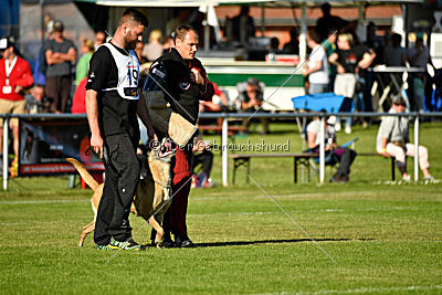 Ashley vom Clan der Wölfe