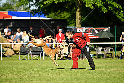 Ashley vom Clan der Wölfe