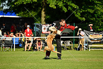 Ashley vom Clan der Wölfe