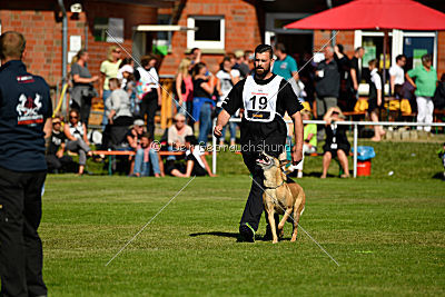 Ashley vom Clan der Wölfe