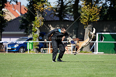 Ashley vom Clan der Wölfe