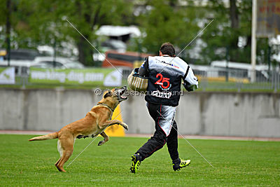 Ashley vom Clan der Wölfe