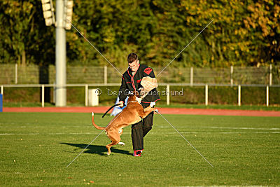 Askan vom Koboldgarten