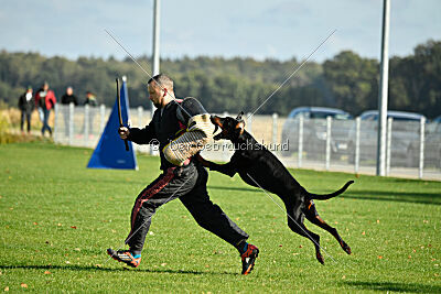 Askjell vom Dunkelvolk