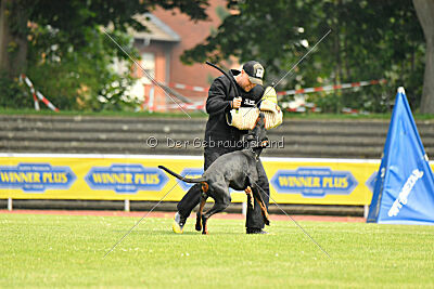 Askjell vom Dunkelvolk