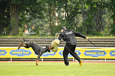 Askjell vom Dunkelvolk