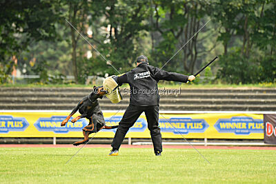 Askjell vom Dunkelvolk