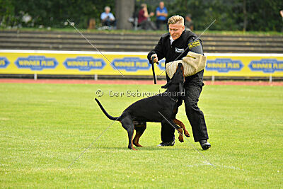 Askjell vom Dunkelvolk