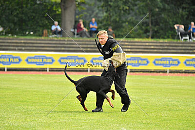 Askjell vom Dunkelvolk