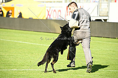Asko von der Siegermacht