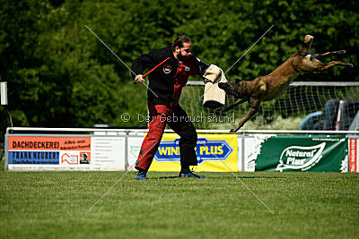 Aslan vom Sudwalder Forst