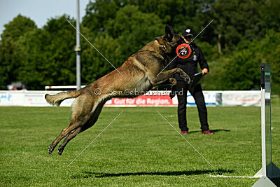 Aslan vom Sudwalder Forst