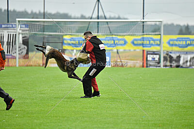 Aslan vom Sudwalder Forst