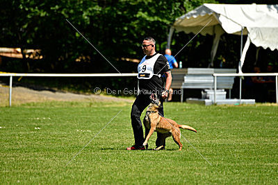 Assira vom Streitwald