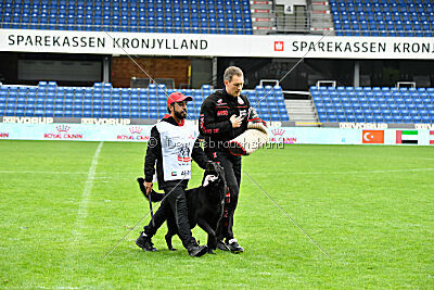 Asterix vom Parchimer Land