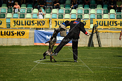 Atas of Hungarian Working Dogs