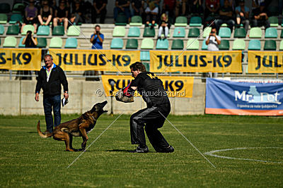 Atas of Hungarian Working Dogs