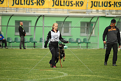 Atas of Hungarian Working Dogs