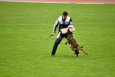 Atas of Hungarian Working Dogs