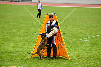 Atas of Hungarian Working Dogs