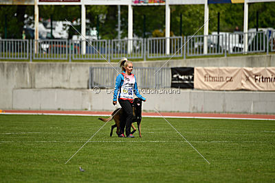 Atas of Hungarian Working Dogs