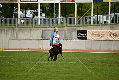 Atas of Hungarian Working Dogs