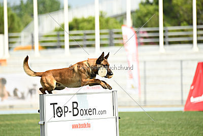 Ator van Hundespiel