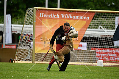 Atze vom Heidländer Wappen