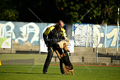 Atzipora von SprungLila