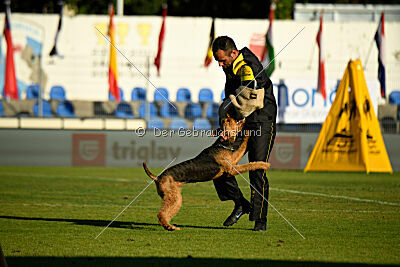 Atzipora von SprungLila