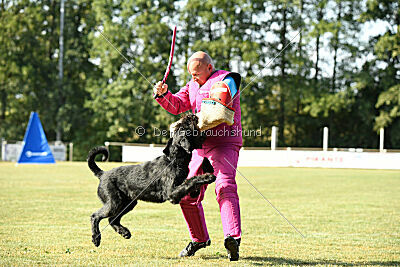 August vom Lindelbrunn