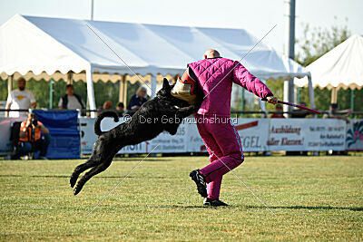 August vom Lindelbrunn