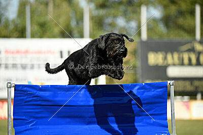 August vom Lindelbrunn