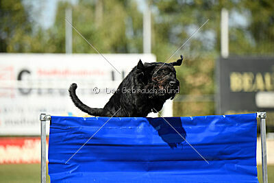 August vom Lindelbrunn