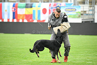 August vom Team Wieratal