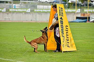 Avenger de Fontemordant