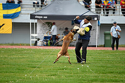 Avenger de Fontemordant
