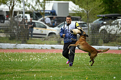 Avenger de Fontemordant