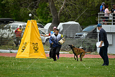 Avenger de Fontemordant