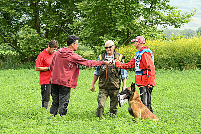 Avenger de Fontemordant