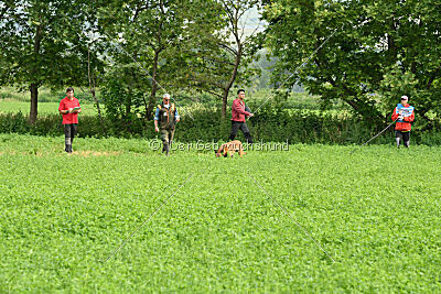 Avenger de Fontemordant