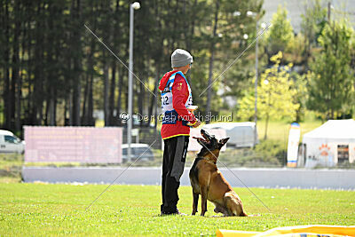 Avenger de Fontemordant