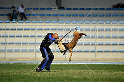 Avonwolf Al Capone Keith