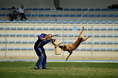 Avonwolf Al Capone Keith