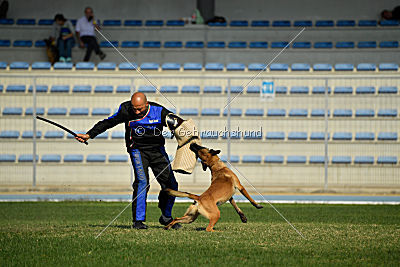 Avonwolf Al Capone Keith