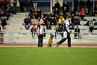 Avonwolf Al Capone Keith